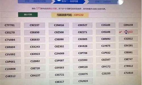 新车上牌选号技巧_新车上牌选号技巧视频教程